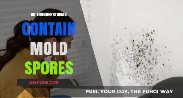 Thunderstorms and Mold: Unveiling the Hidden Connection in the Air