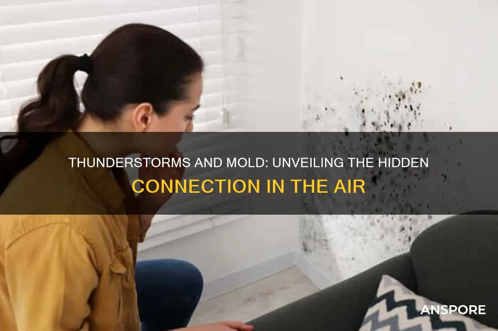 do thunderstorms contain mold spores