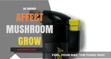 How Torches Impact Mushroom Growth: A Comprehensive Guide