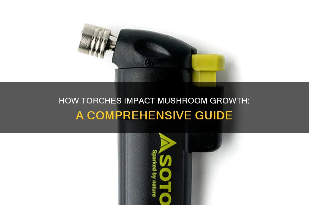 do torches affect mushroom grow