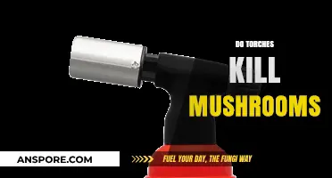 How Torches Affect Mushrooms: A Guide