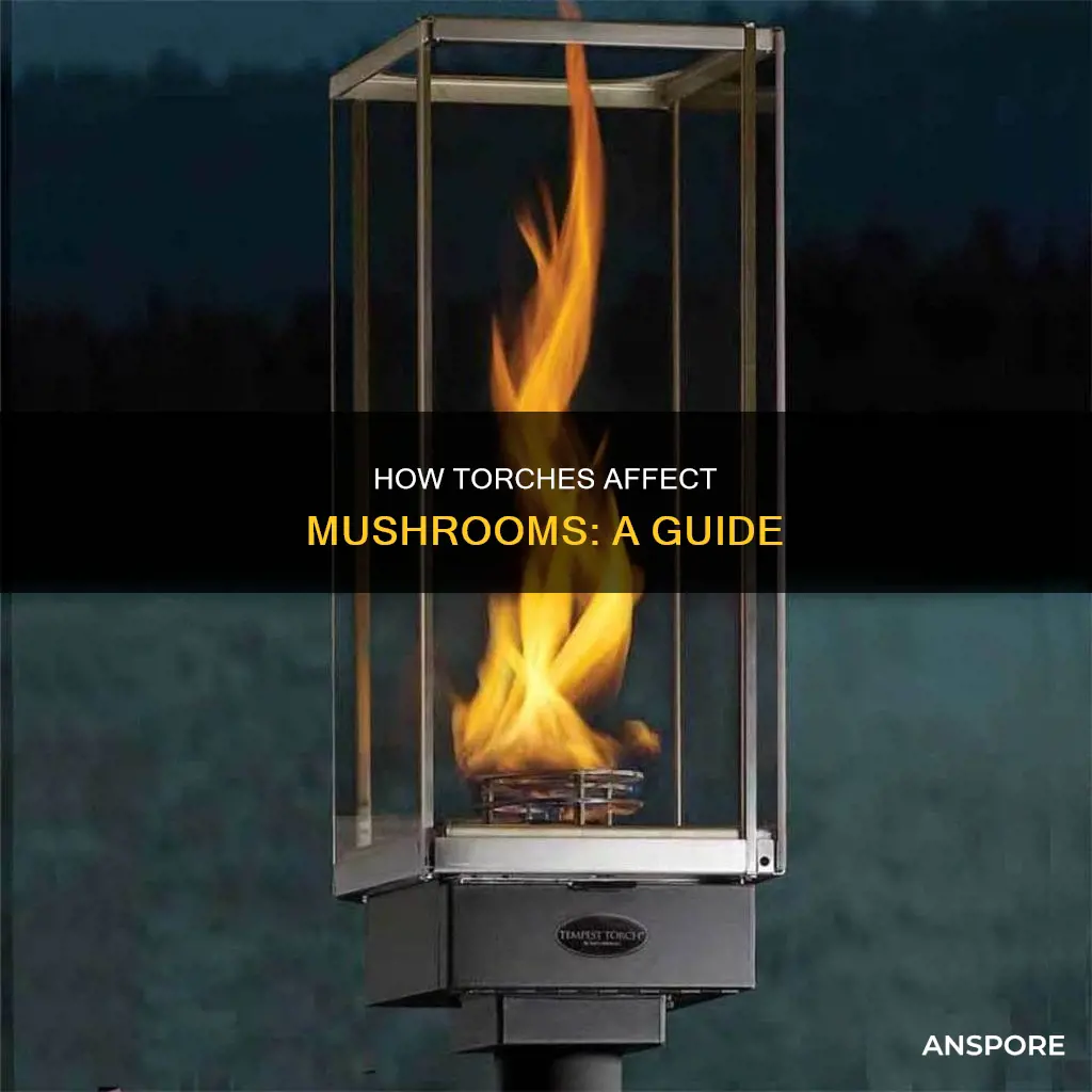 do torches kill mushrooms