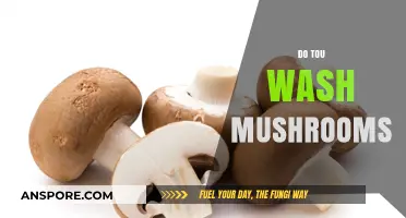 How to Wash Mushrooms: Do's and Don'ts