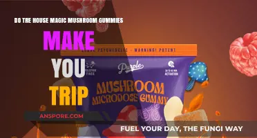 Do Tree House Magic Mushroom Gummies Induce Psychedelic Trips?