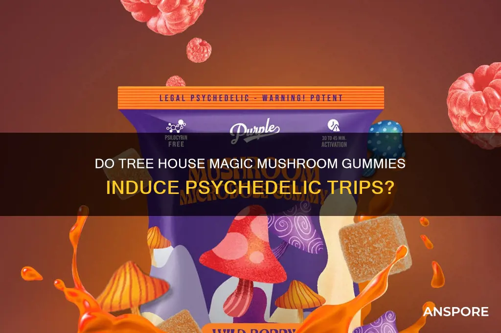 do tre house magic mushroom gummies make you trip