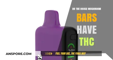 Do Tree House Mushroom Bars Contain THC? Facts Revealed