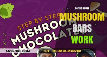 Do Tree House Mushroom Bars Work?