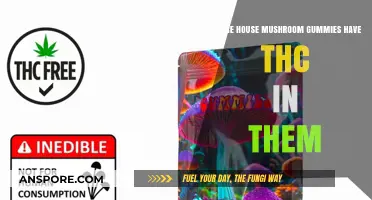 THC in Tree House Mushroom Gummies: What's the Deal?