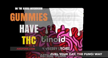 Do Tree House Mushroom Gummies Contain THC? Facts Revealed