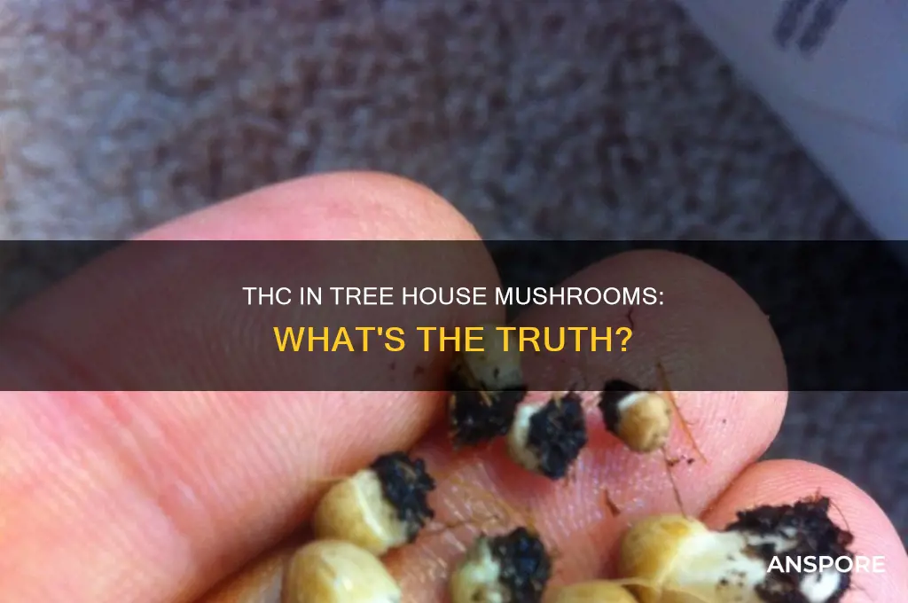 do tre house mushrooms have thc