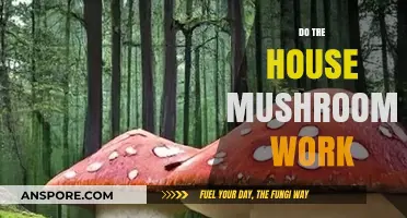 Exploring Tree House Mushrooms: Do They Work?