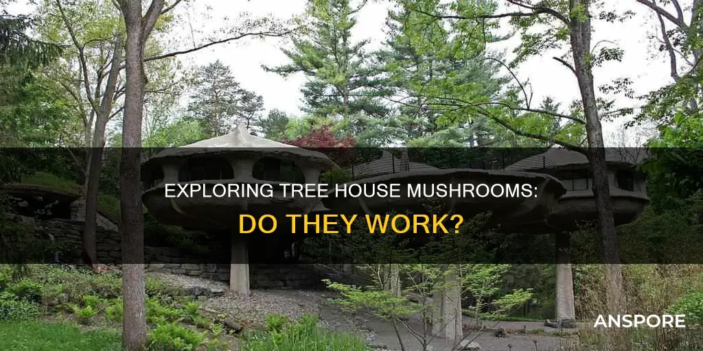 do tre house mushrooms work
