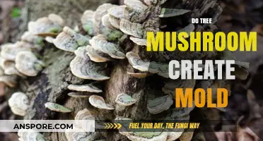 Tree Mushrooms: Mold Creators or Not?