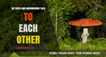 Nature's Whispers: Trees and Mushrooms' Secret Language