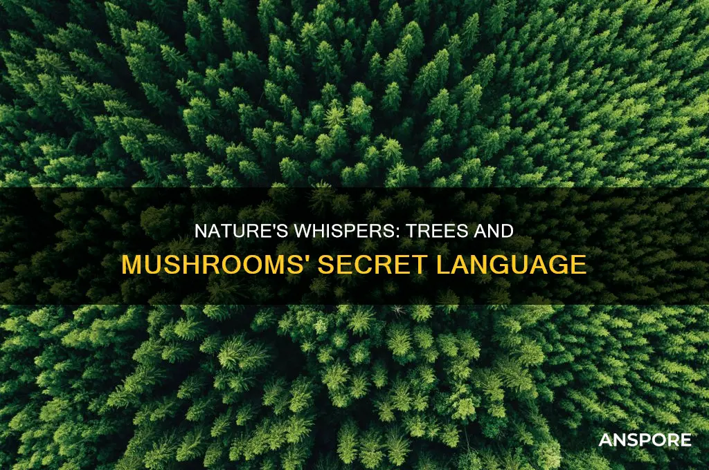 do trees and mushrooms talk to each other