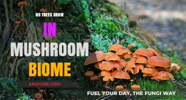 Exploring the Mushroom Biome: Can Trees Thrive in Fungal Forests?