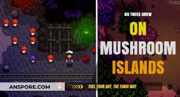 Exploring Mushroom Islands: Do Trees Thrive in These Unique Biomes?