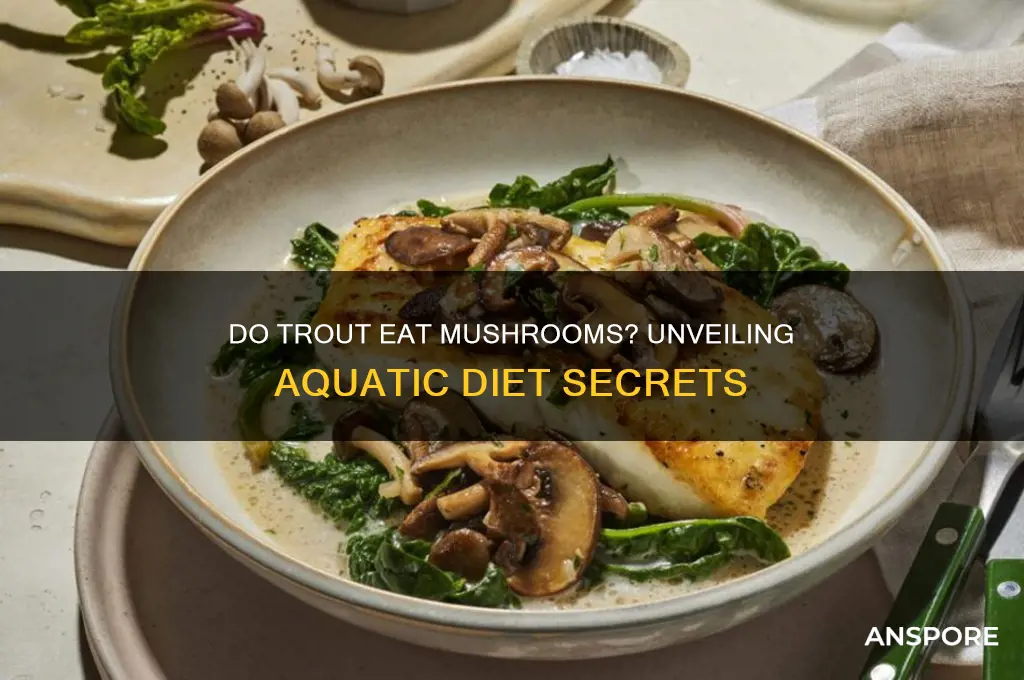 do trout eat mushrooms