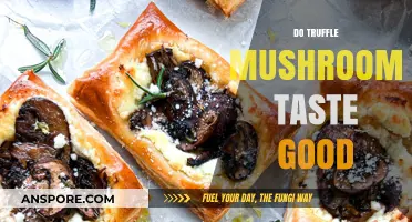 Do Truffle Mushrooms Taste Good? Exploring the Unique Flavor Profile