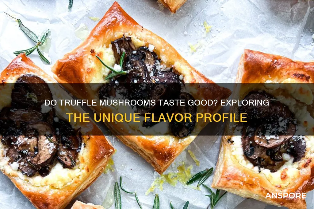 do truffle mushrooms taste good