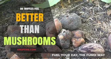 Truffles vs. Mushrooms: A Sensory Experience