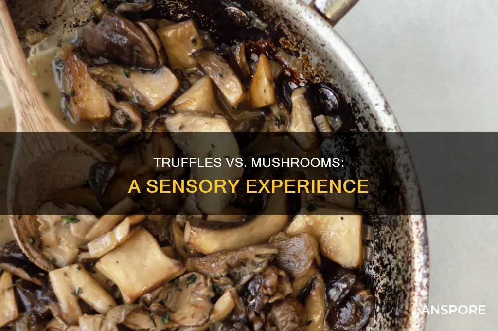 do truffles feel better than mushrooms