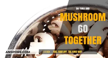 Tasty Tuna and Mushroom Combos: What's the Verdict?