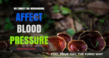 Turkey Tail Mushrooms: Natural Blood Pressure Aid?