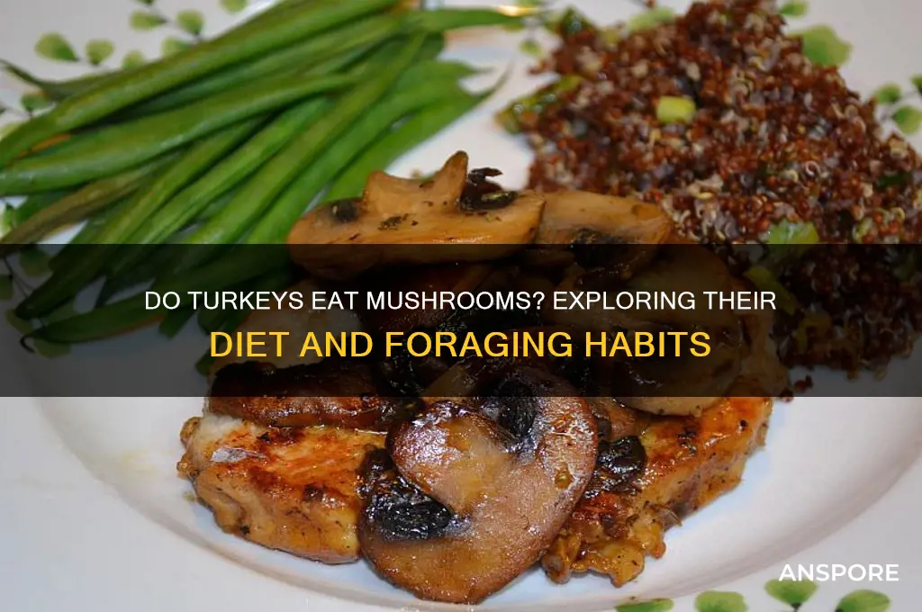do turkeys eat mushrooms