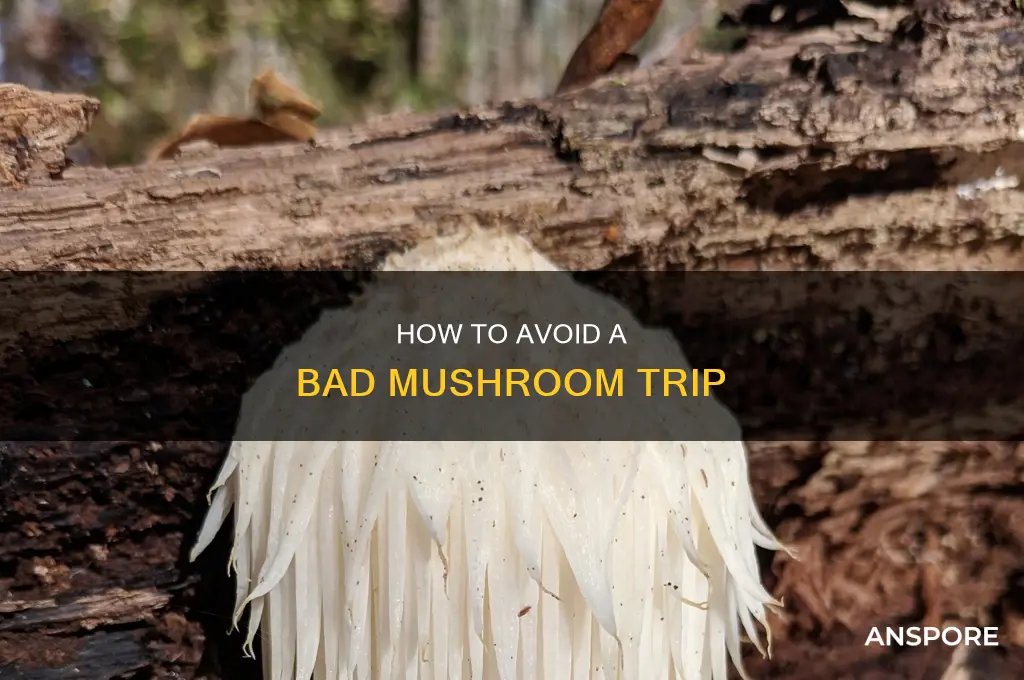 do u come down hard from mushroom high