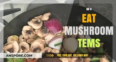Exploring Mushroom-Based Foods: Do You Eat Mushroom Products?