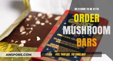 Mushroom Bars: Age Restrictions and Legalities