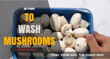 Washing Mushrooms: To Wash or Not to Wash?