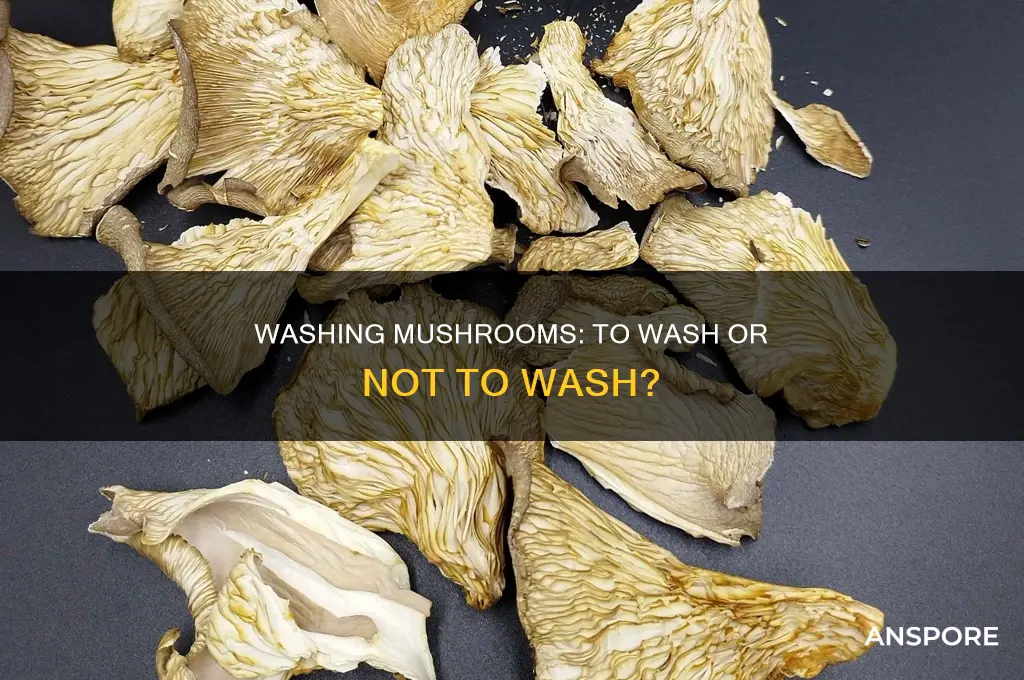 do u have to wash mushrooms
