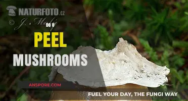 Peeling Mushrooms: Is It Necessary?