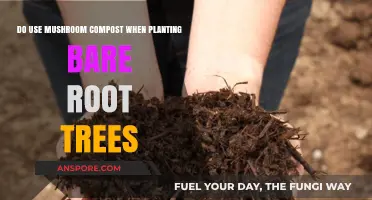 Boost Bare Root Tree Growth: Should You Use Mushroom Compost?