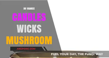 Vankee Candles: Wick Mushrooming and How to Prevent It