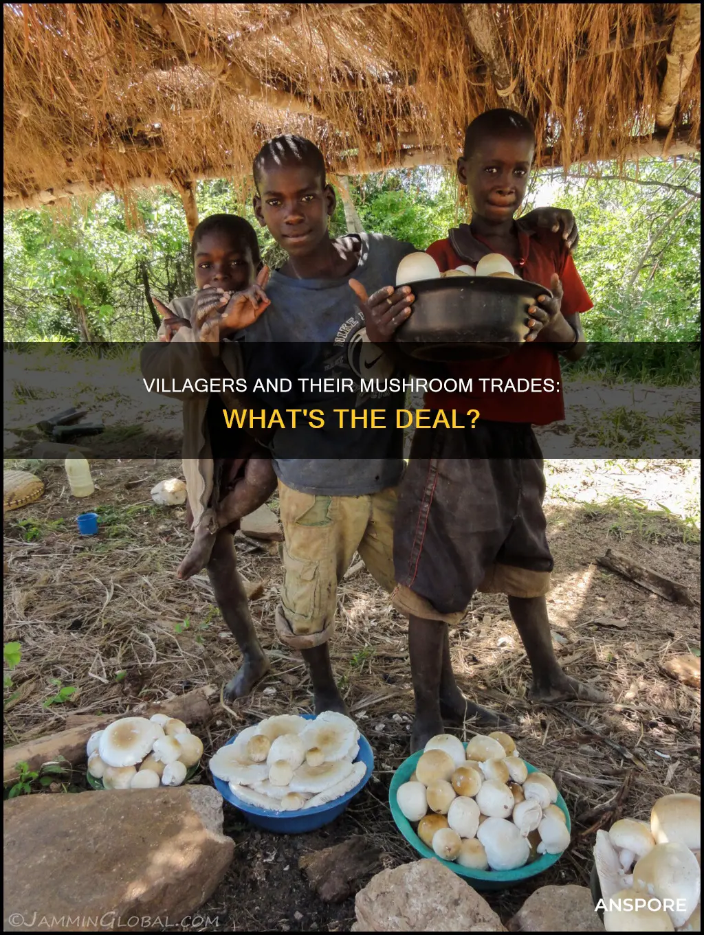 do villagers sell mushrooms