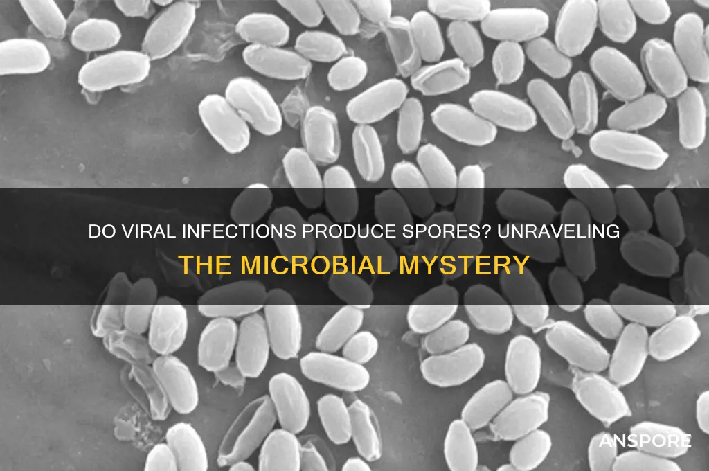 do viral infections cause spores