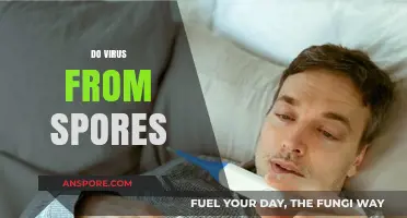 Do Spores Carry Viruses? Unraveling the Connection Between Spores and Viruses