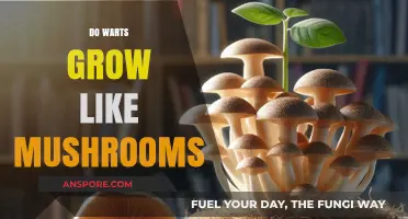 Do Warts Grow Like Mushrooms? Unraveling the Skin Growth Mystery