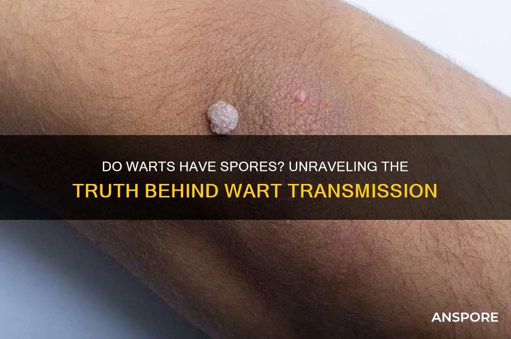 do warts have spores