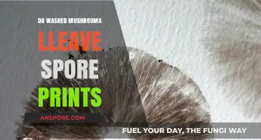 How Mushrooms Leave Spore Prints After Washing