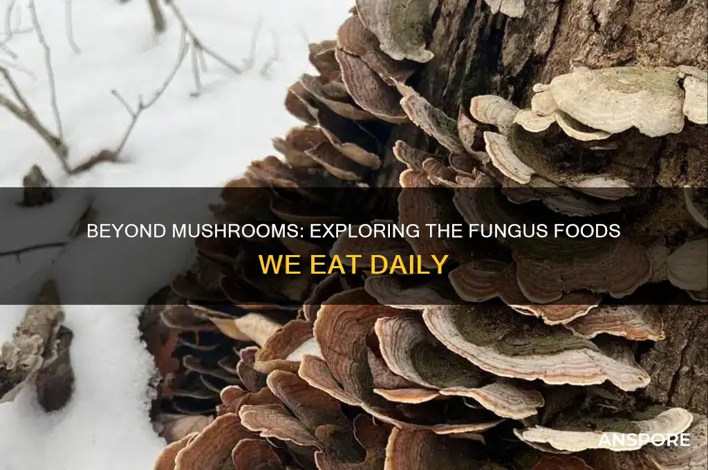do we eat fungus other than mushrooms