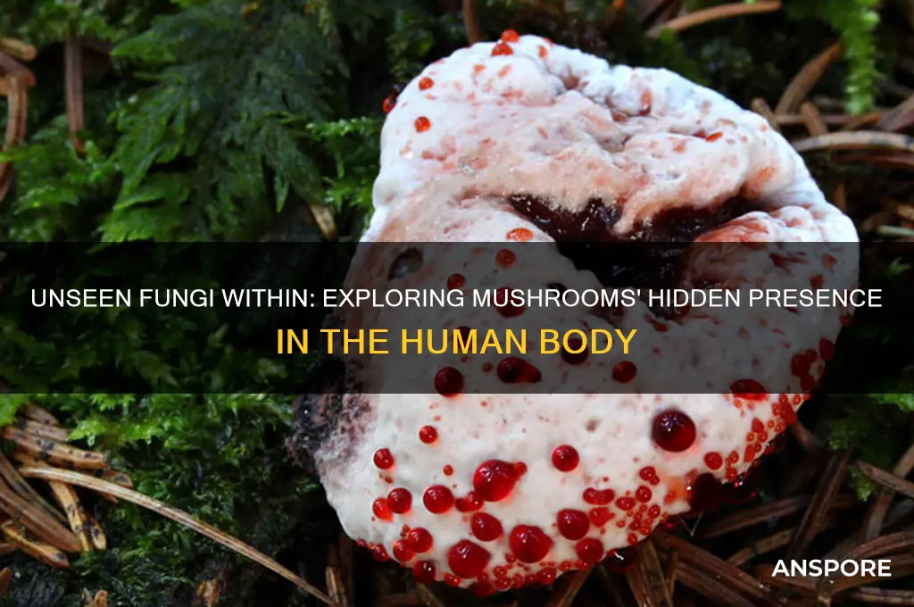 do we have mushrooms growing inside us
