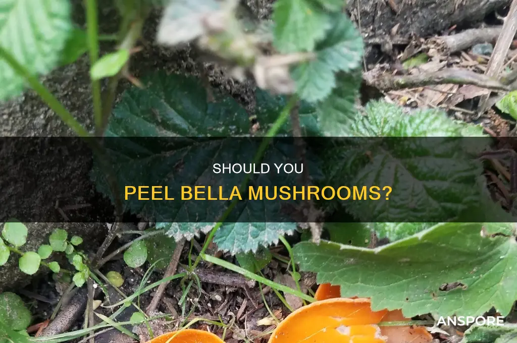 do we have to peel bella mushrooms