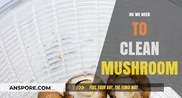 Cleaning Mushrooms: Necessary or Not?