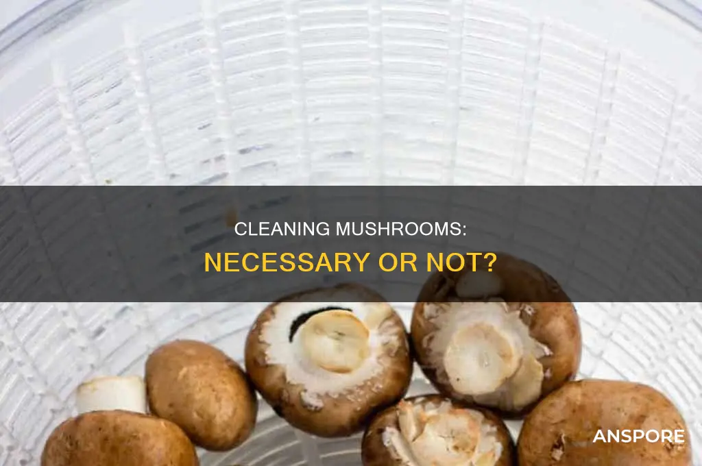 do we need to clean mushroom