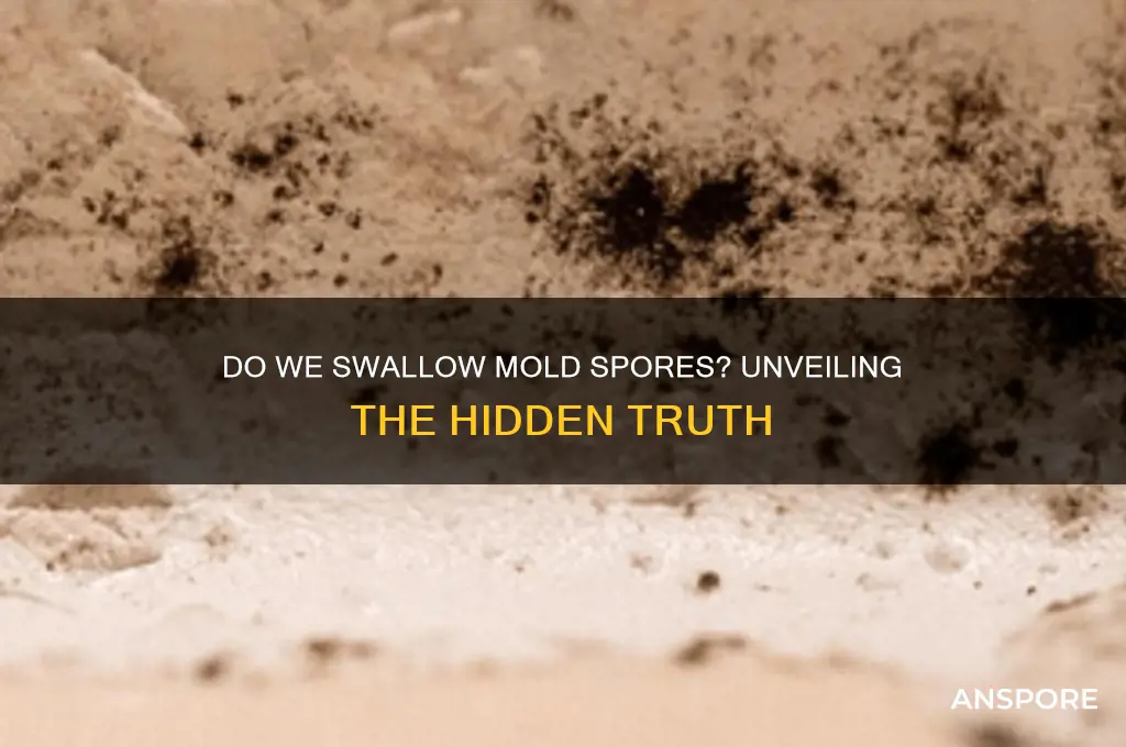 do we swallow mold spores