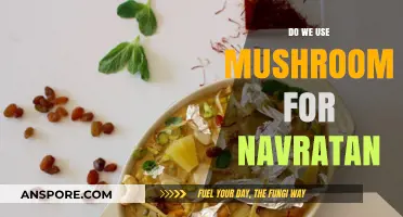 Mushrooms in Navratan Korma: A Vegetarian Twist Explored